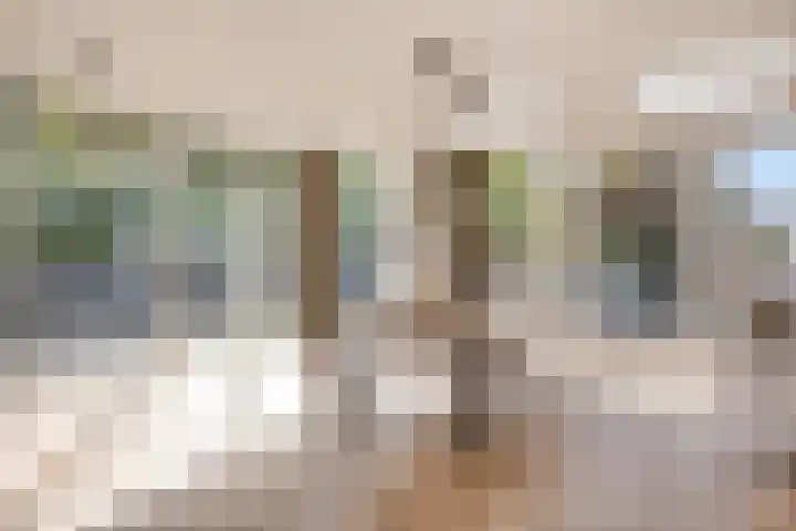 Clematislaan 28 Waalre thumbnail 9