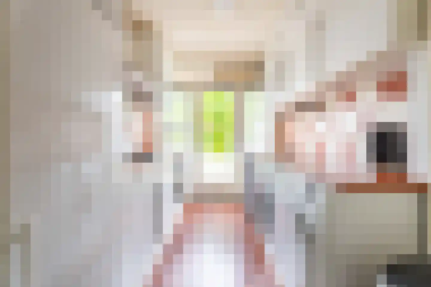 Clematislaan 32 Oegstgeest thumbnail 19