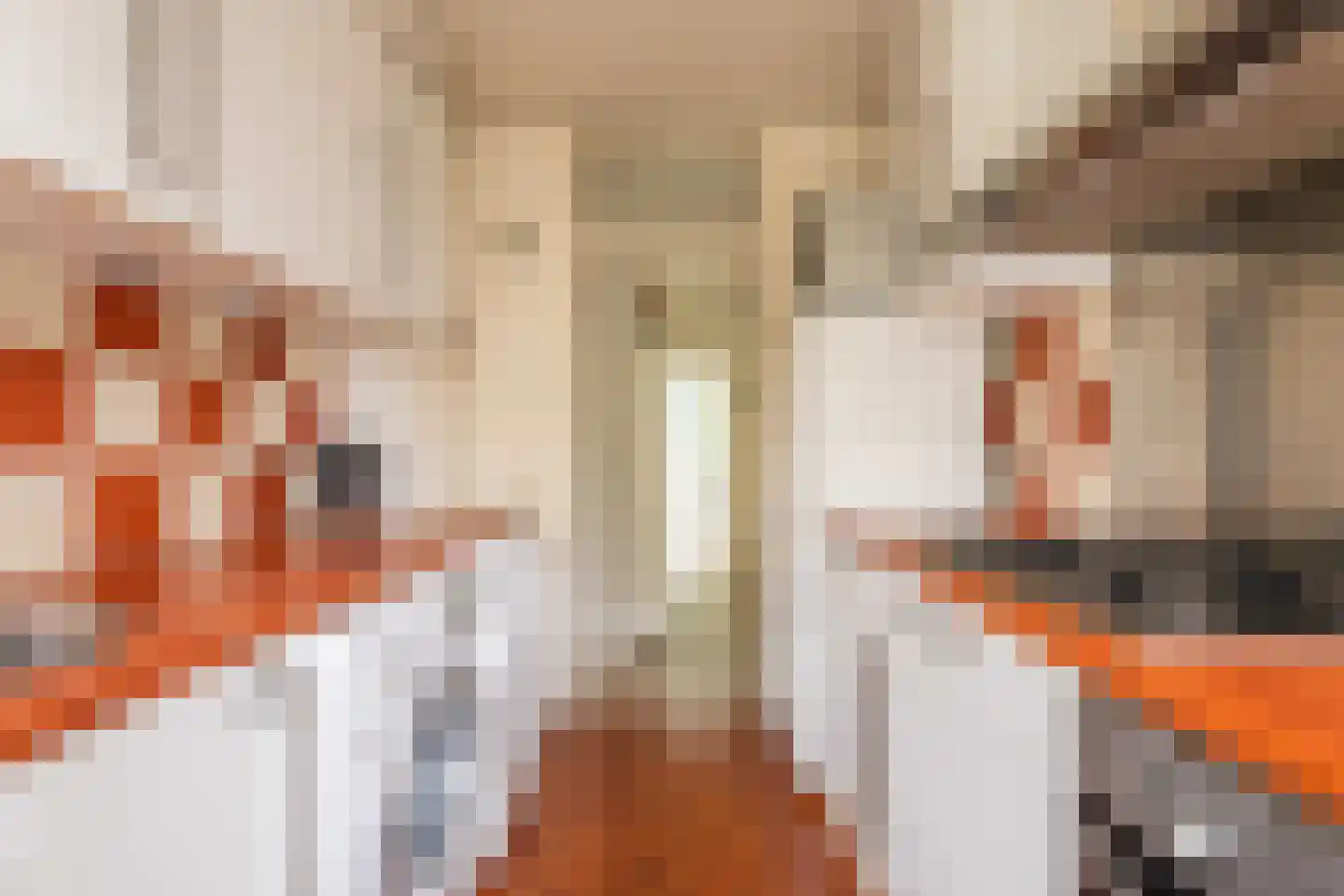 Clematislaan 32 Oegstgeest thumbnail 20
