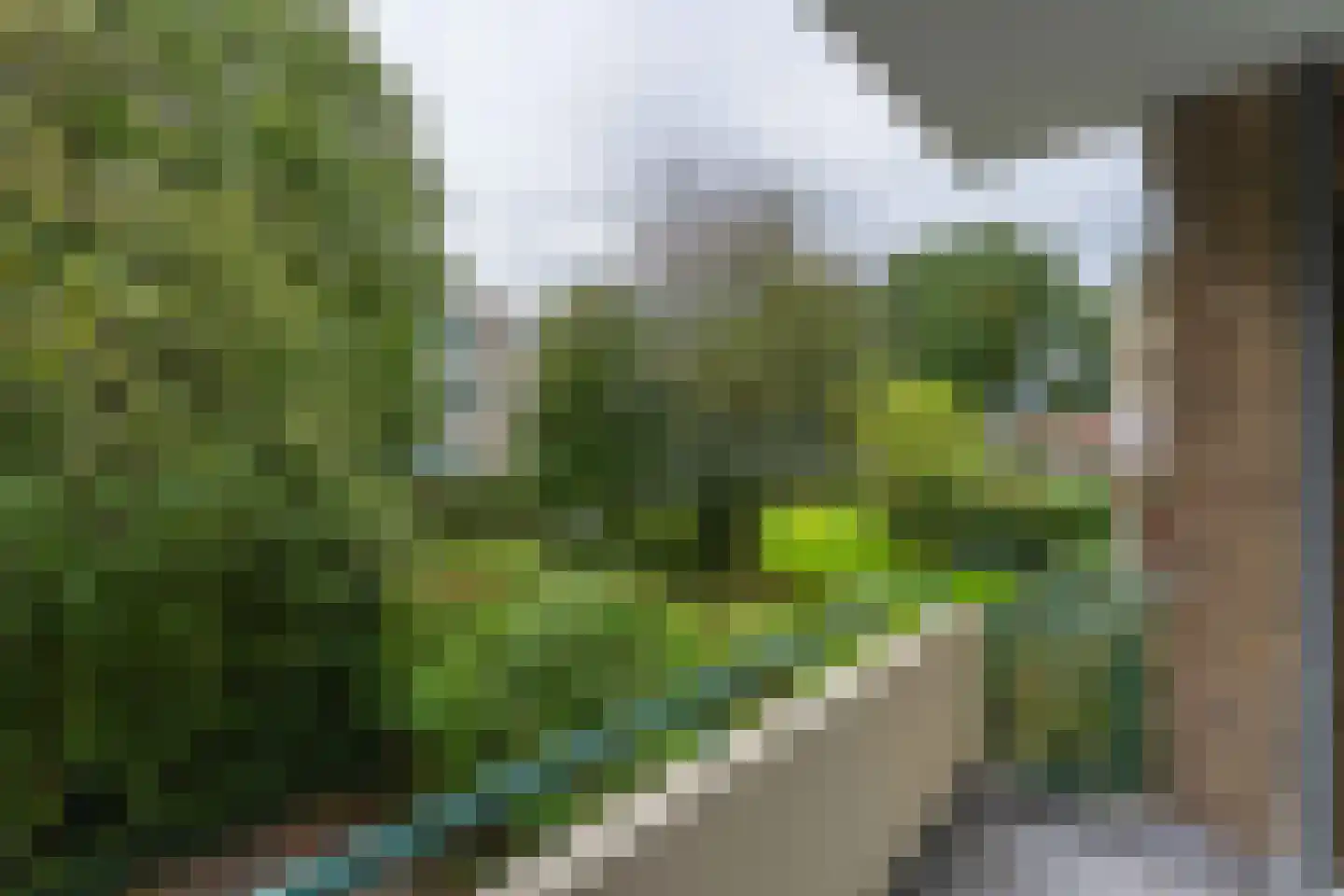 Clematislaan 32 Oegstgeest thumbnail 32