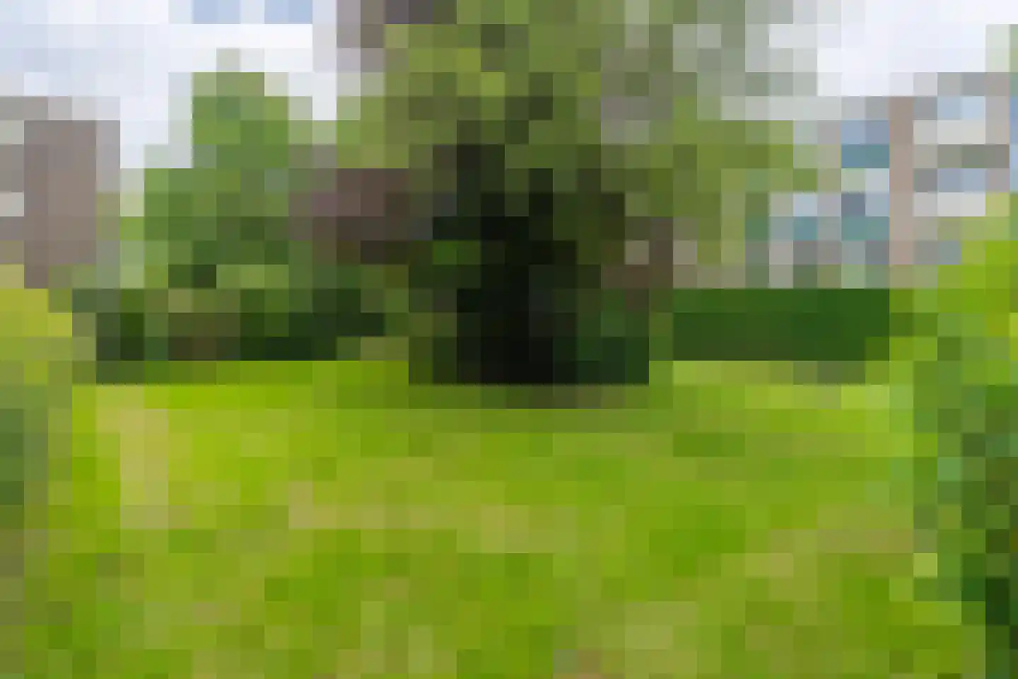 Clematislaan 32 Oegstgeest thumbnail 43