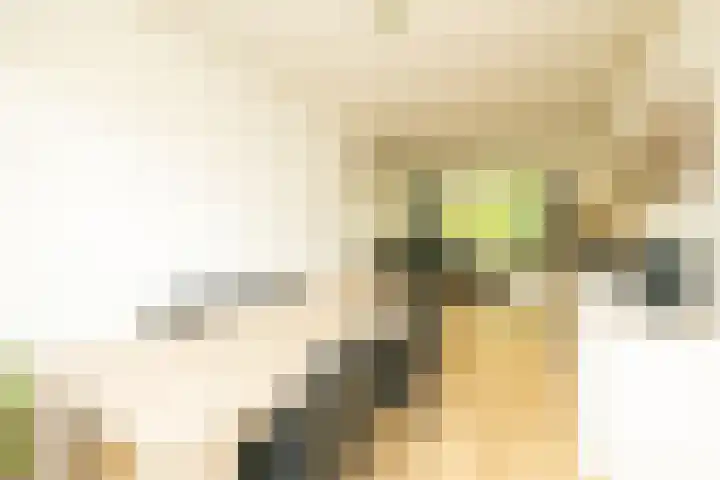 Clematislaan 38 Oegstgeest thumbnail 12
