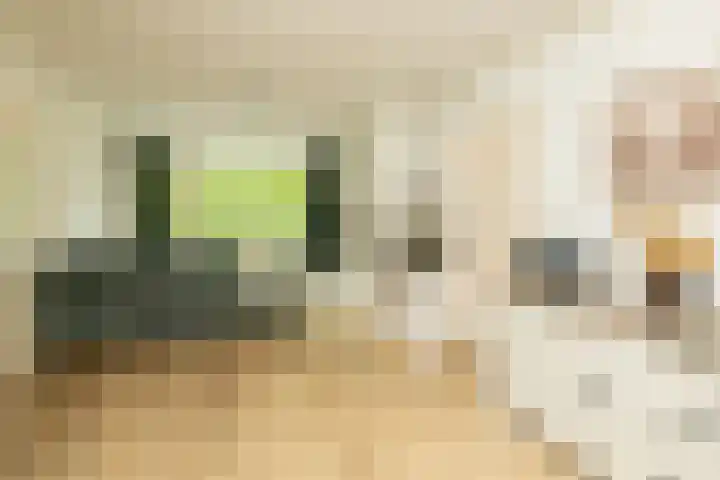 Clematislaan 38 Oegstgeest thumbnail 13