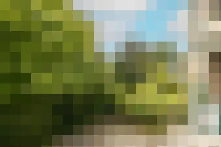 Clematislaan 38 Oegstgeest thumbnail 16