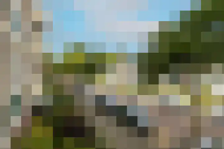 Clematislaan 38 Oegstgeest thumbnail 20