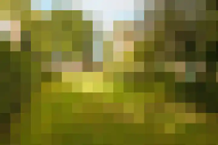 Clematislaan 38 Oegstgeest thumbnail 27
