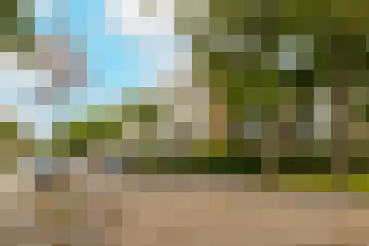 Clematislaan 38 Oegstgeest thumbnail 6