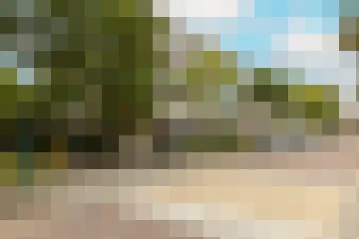Clematislaan 38 Oegstgeest thumbnail 7