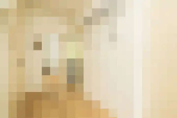 Clematislaan 38 Oegstgeest thumbnail 8