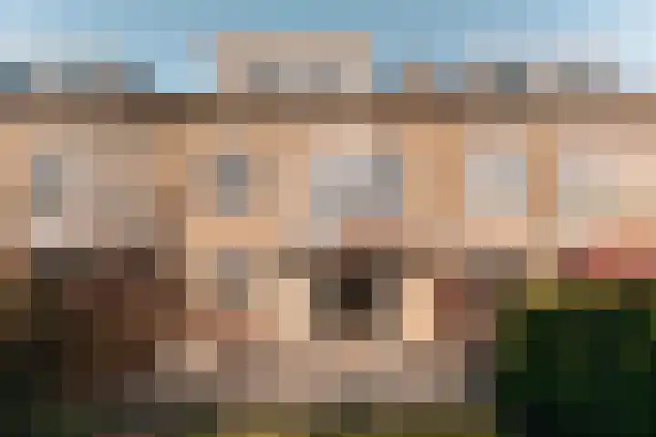 Clematislaan 41 Wassenaar thumbnail 17