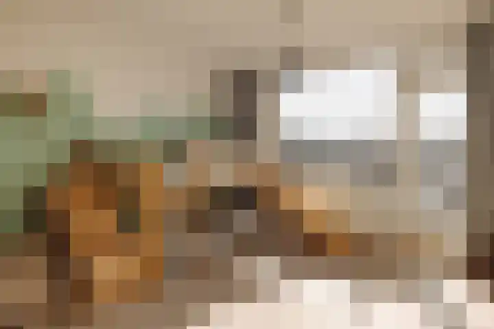 Clematislaan 41 Wassenaar thumbnail 23