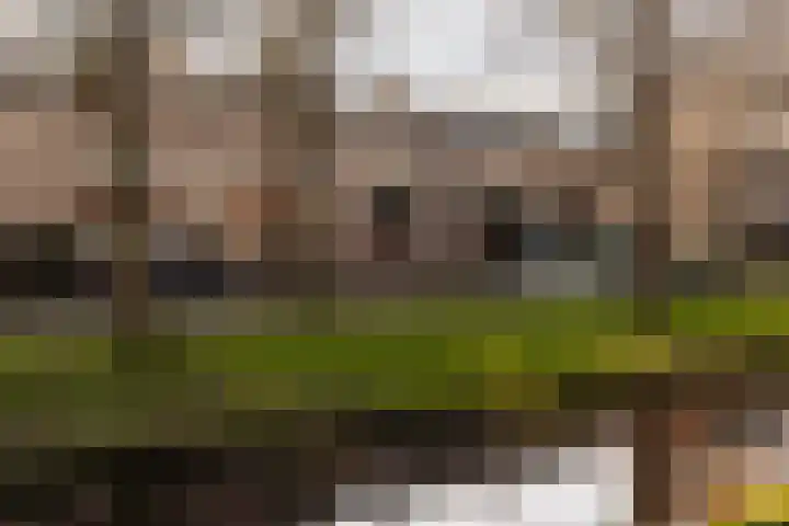 Clematislaan 41 Wassenaar thumbnail 41
