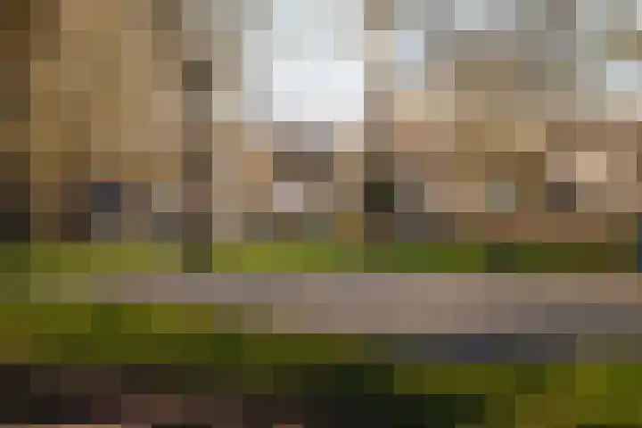 Clematislaan 41 Wassenaar thumbnail 42