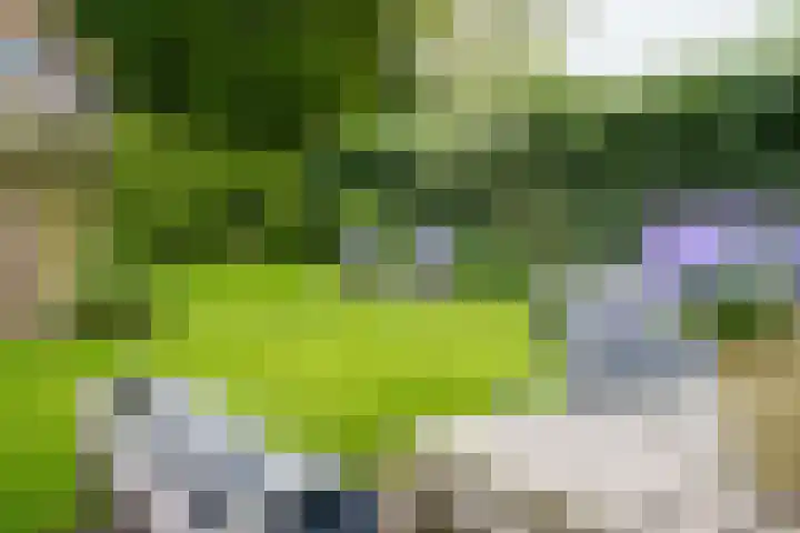 Clematislaan 5 Aerdenhout thumbnail 34