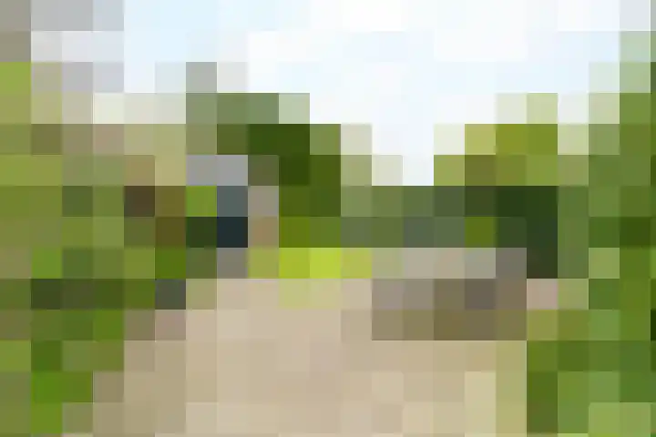 Clematislaan 5 Aerdenhout thumbnail 35