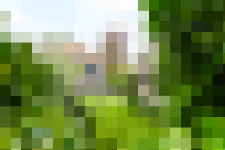 Clematislaan 5 Aerdenhout thumbnail 36