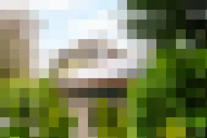 Clematislaan 5 Aerdenhout thumbnail 47