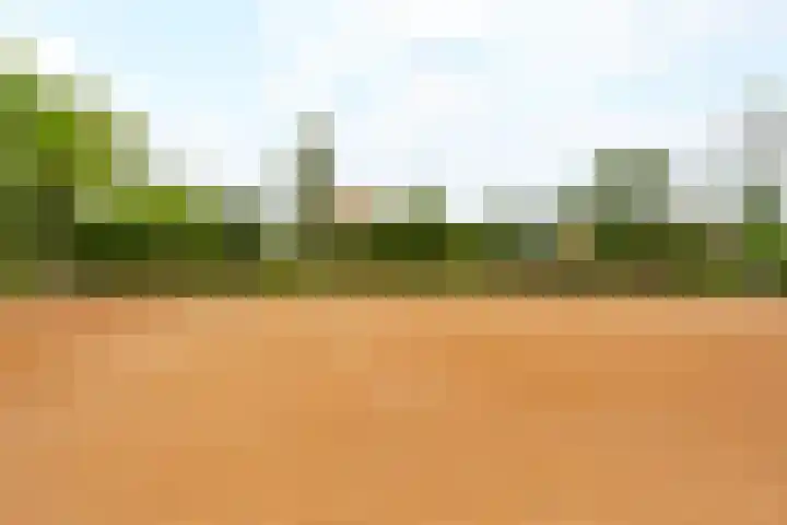 Clematislaan 5 Aerdenhout thumbnail 48