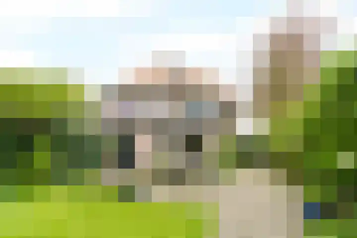 Clematislaan 5 Aerdenhout thumbnail 5