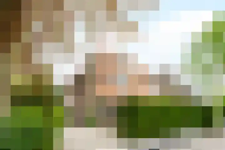 Clematislaan 5 Aerdenhout thumbnail 6