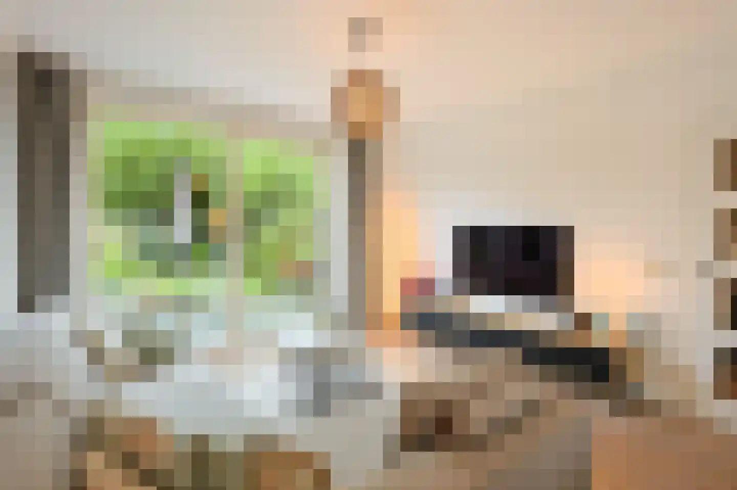 Clematislaan 50 Waalre thumbnail 25