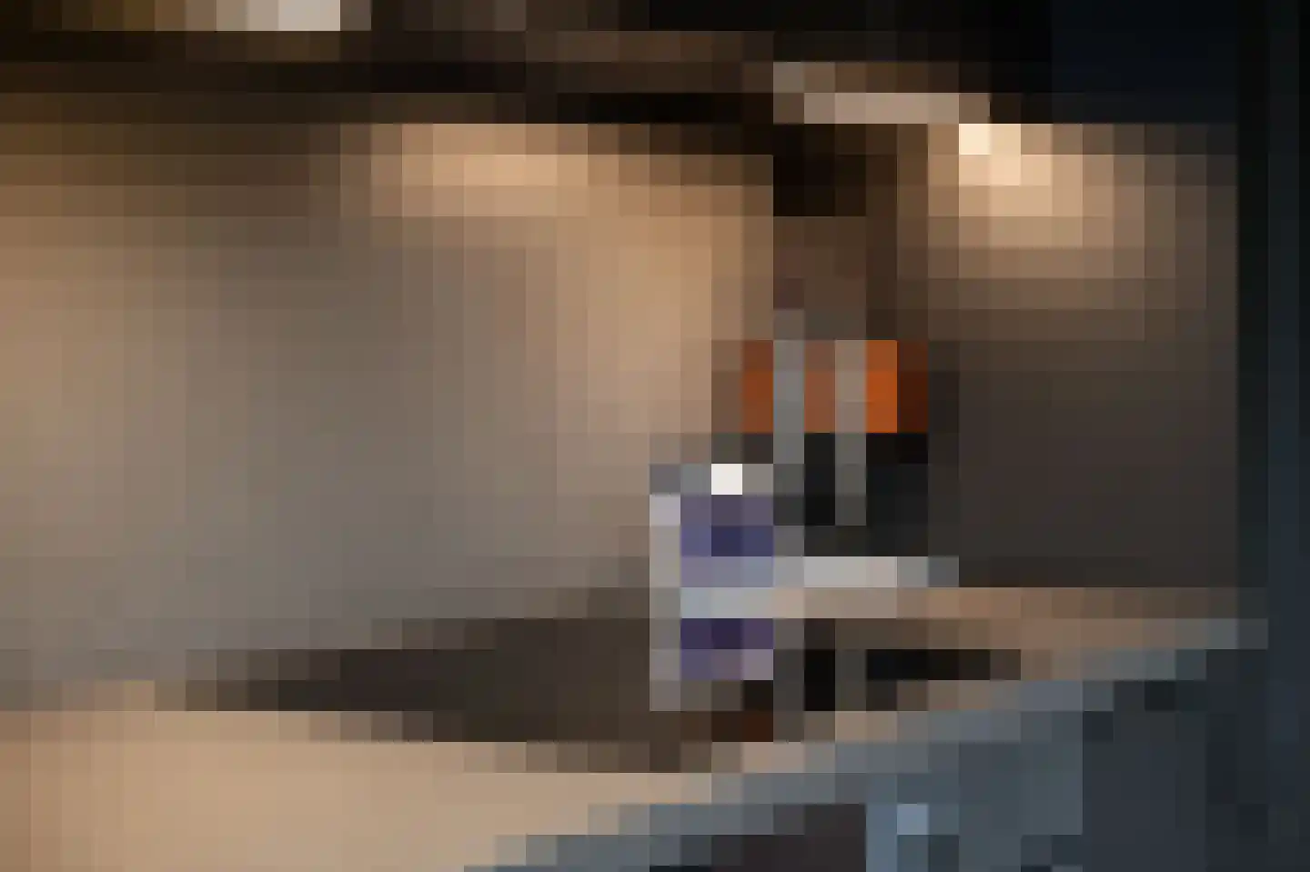 Clematislaan 50 Waalre thumbnail 32
