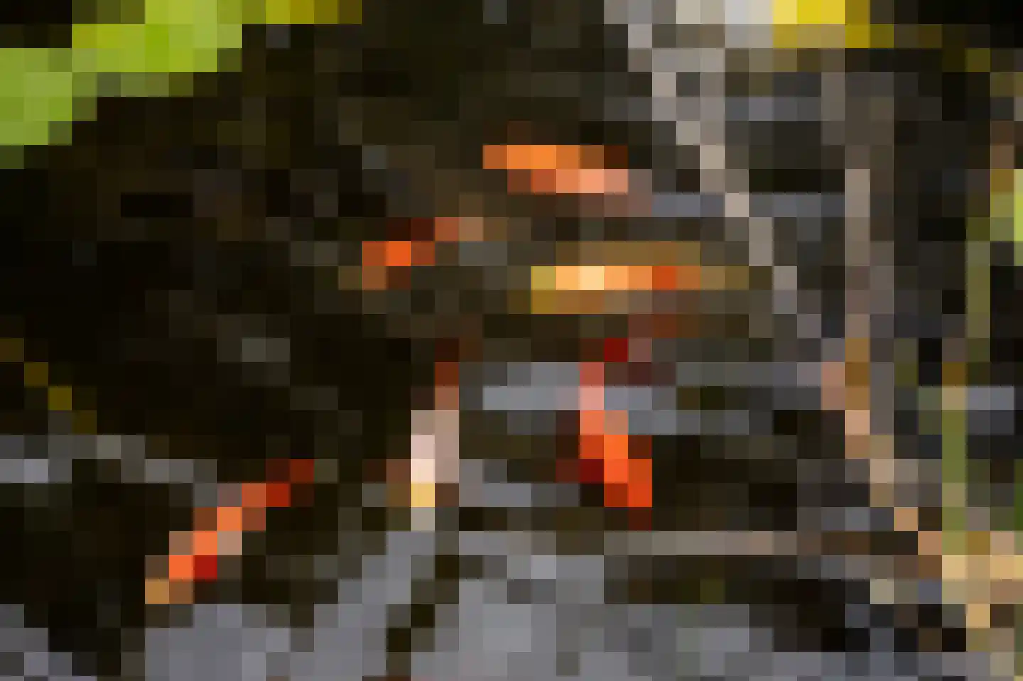 Clematislaan 50 Waalre thumbnail 40