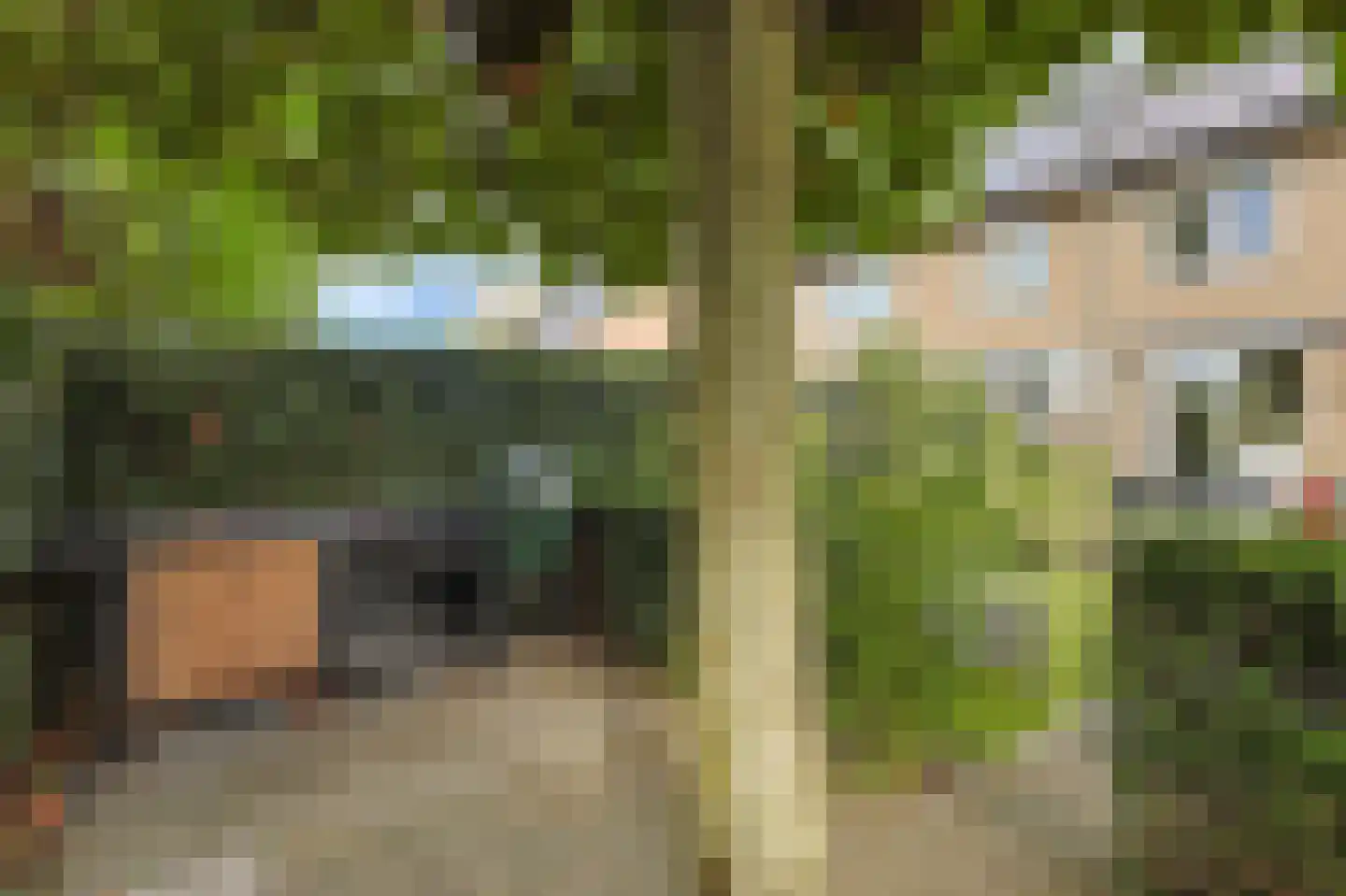 Clematislaan 50 Waalre thumbnail 41