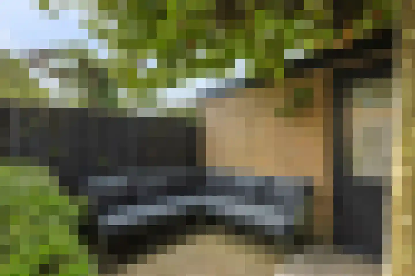 Clematislaan 50 Waalre thumbnail 42