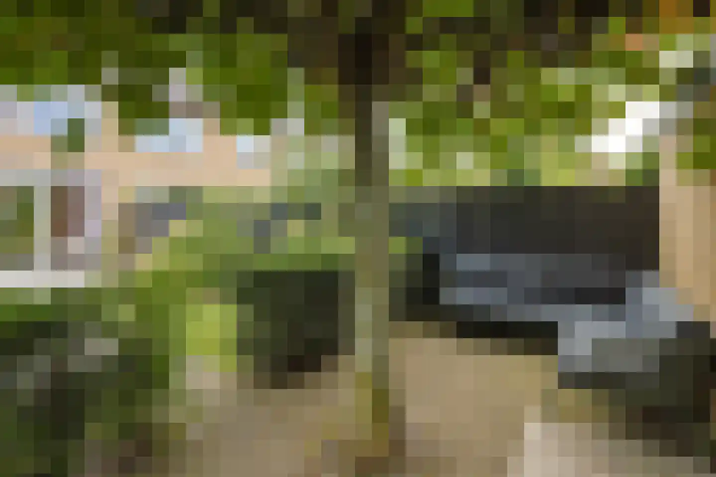 Clematislaan 50 Waalre thumbnail 43