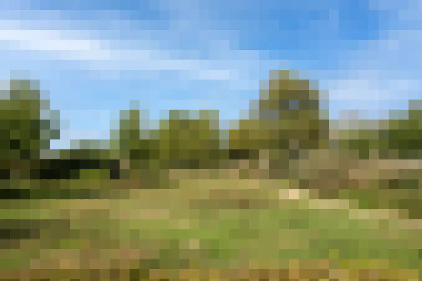 Clematislaan 50 Waalre thumbnail 62