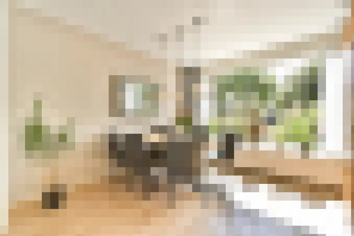 Clematislaan 57 Oegstgeest thumbnail 11