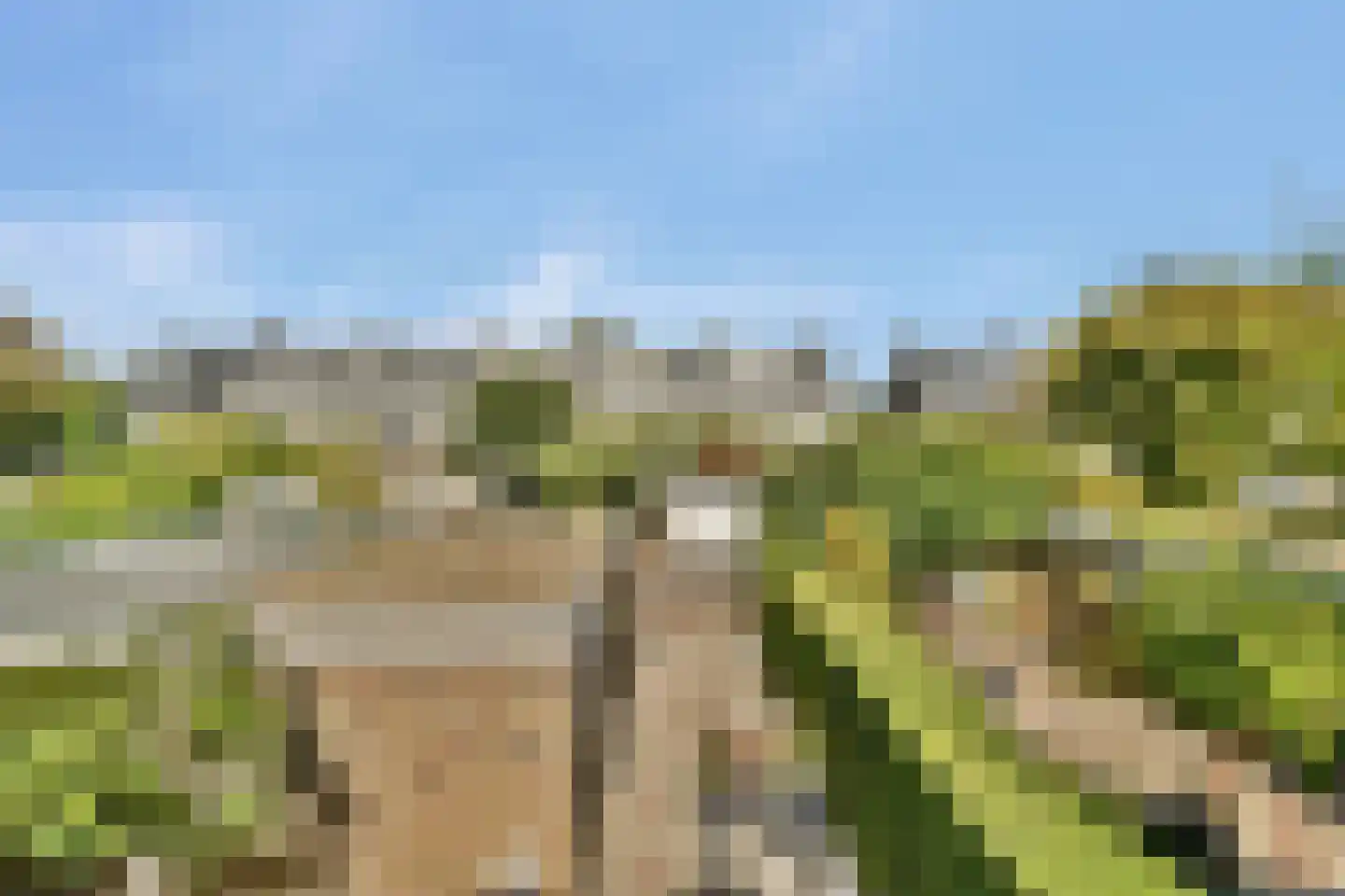 Clematislaan 57 Oegstgeest thumbnail 14