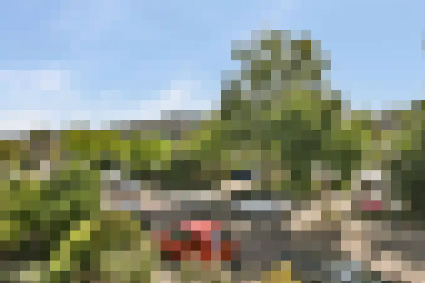 Clematislaan 57 Oegstgeest thumbnail 26