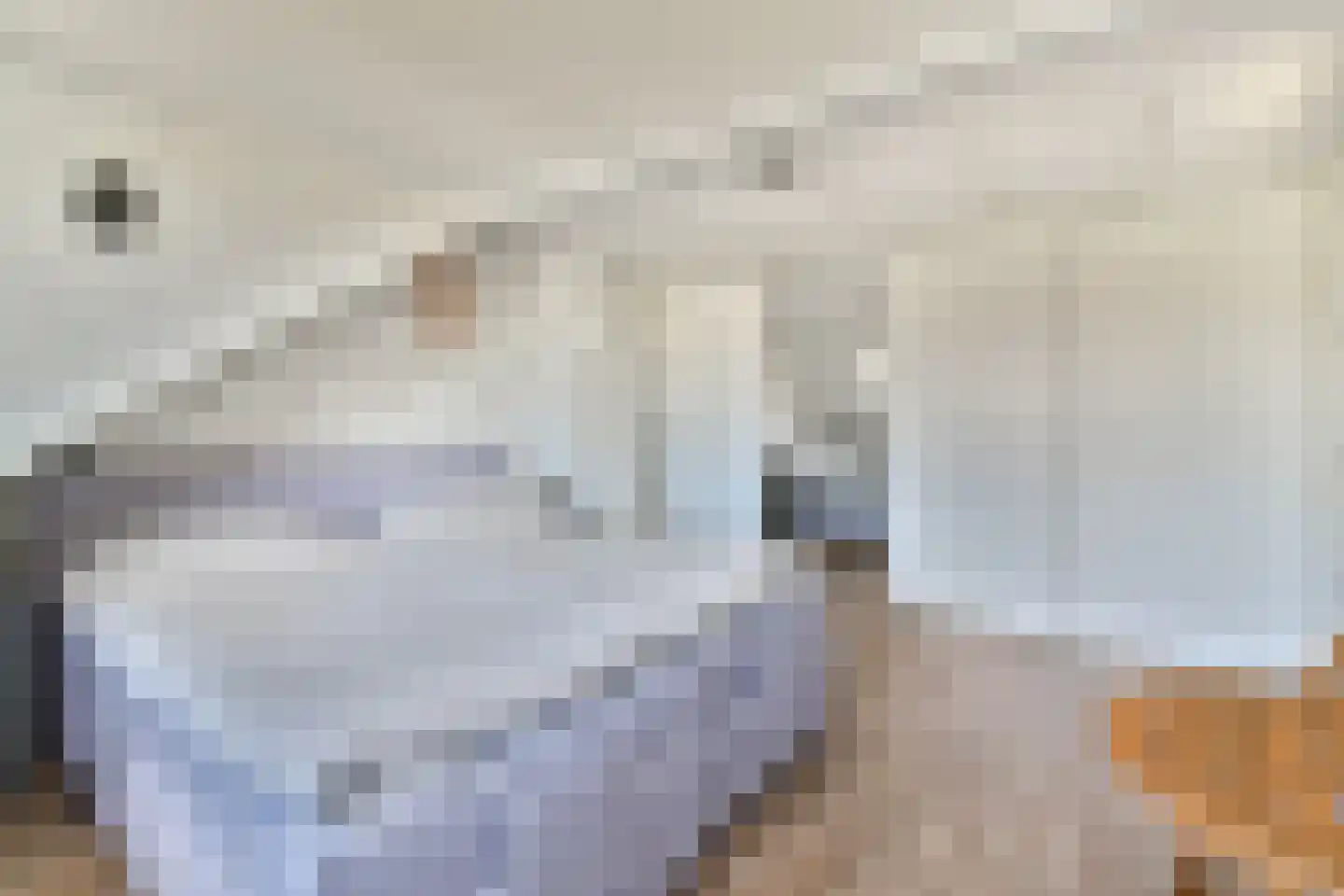 Clematislaan 57 Oegstgeest thumbnail 32