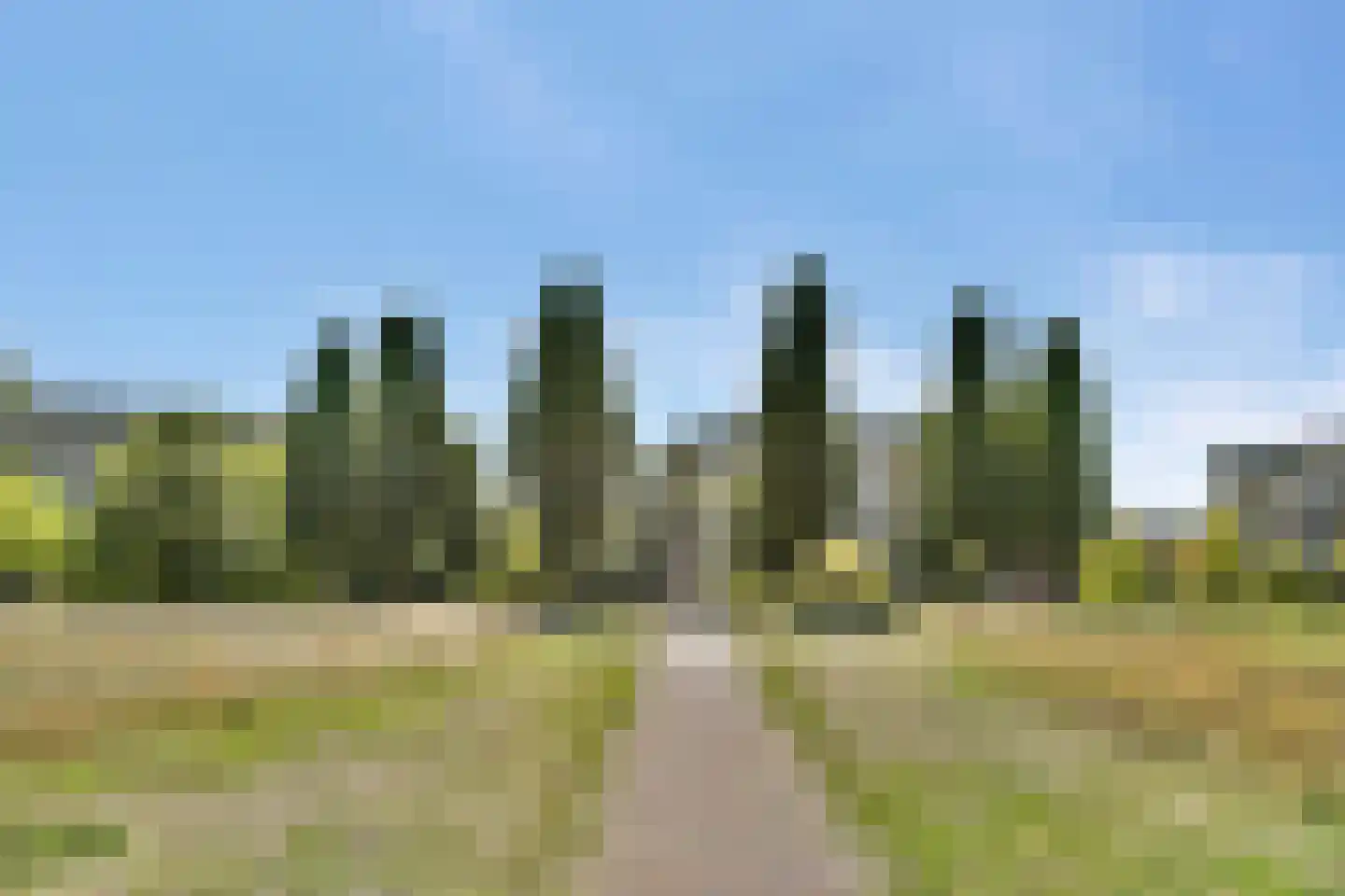 Clematislaan 57 Oegstgeest thumbnail 38