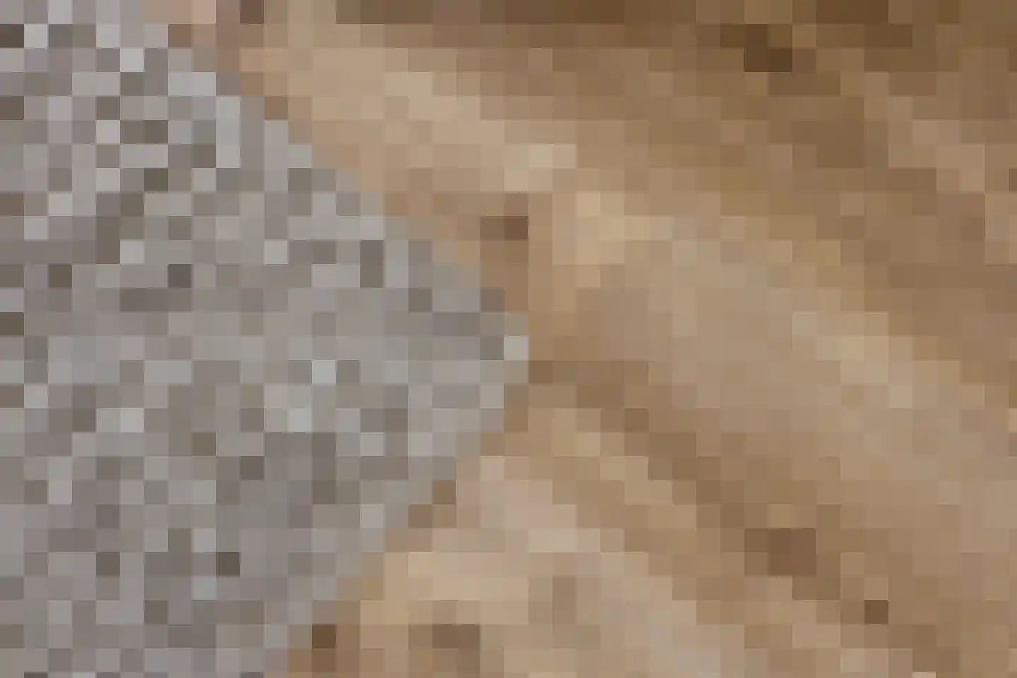 Clematislaan 7 Gouda thumbnail 10