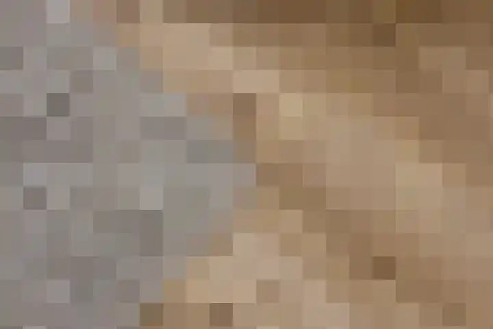 Clematislaan 7 Gouda thumbnail 10