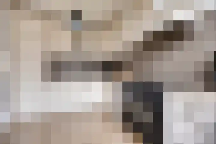Clematislaan 7 Gouda thumbnail 15