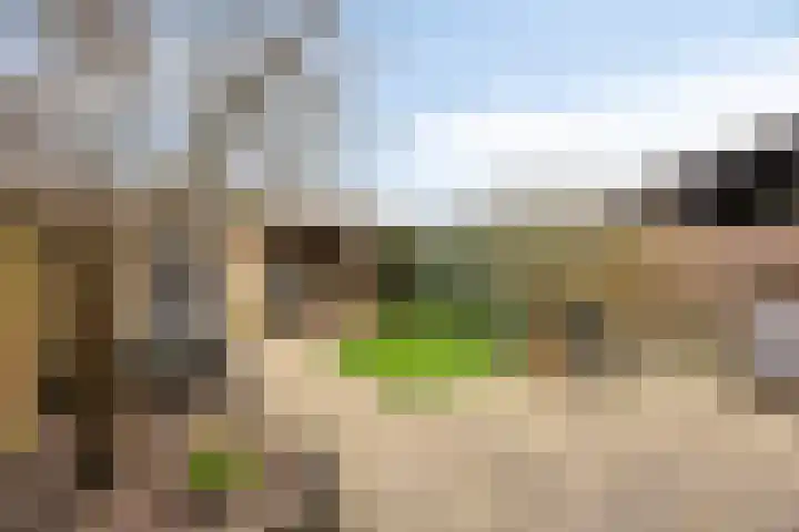 Clematislaan 7 Gouda thumbnail 18