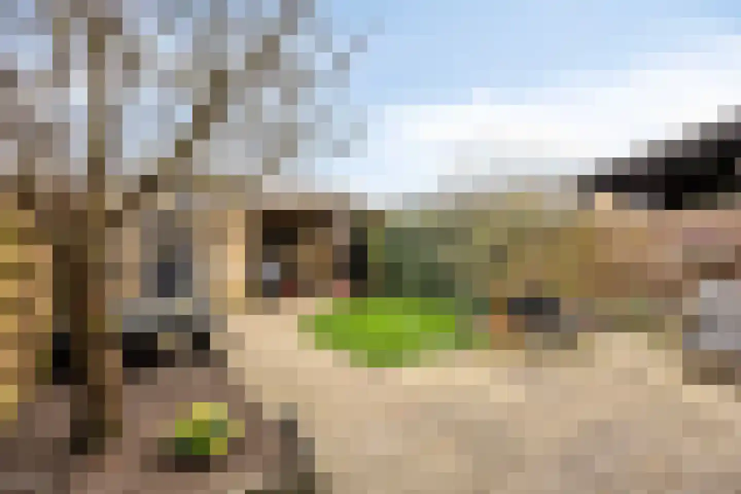 Clematislaan 7 Gouda thumbnail 18