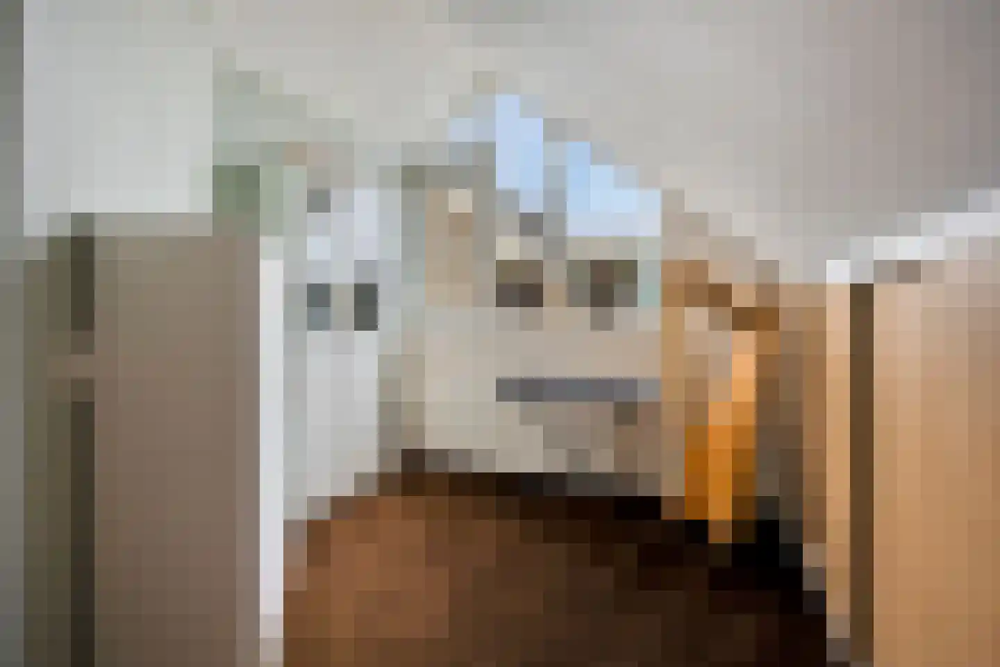 Clematislaan 7 Gouda thumbnail 37