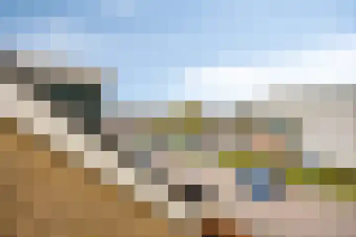 Clematislaan 7 Gouda thumbnail 38