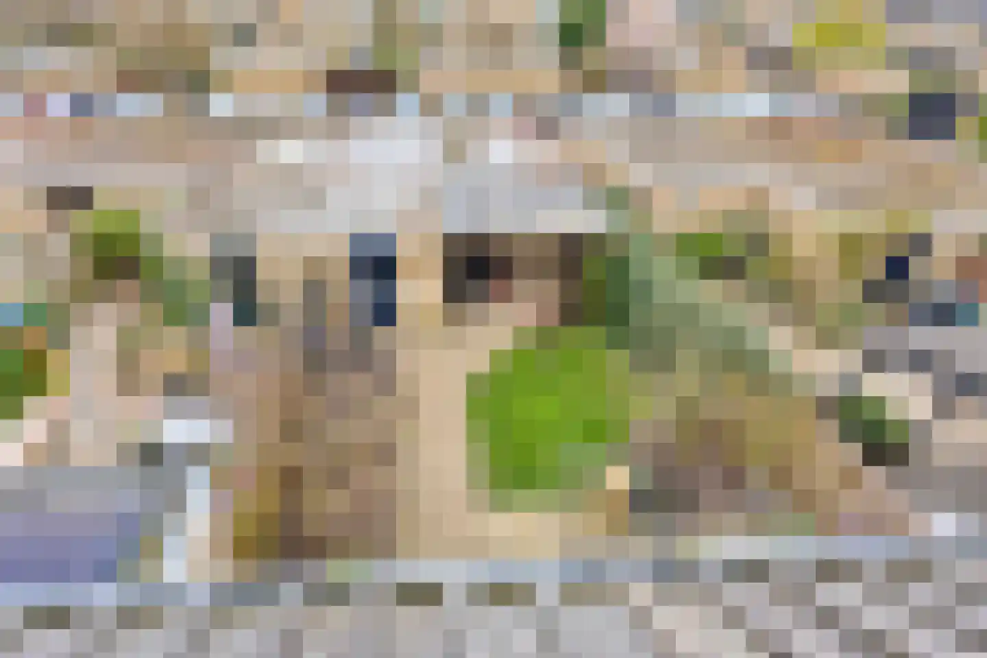 Clematislaan 7 Gouda thumbnail 41