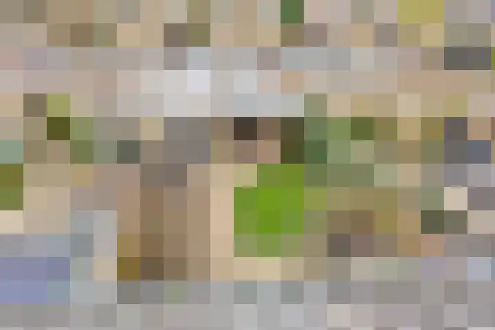 Clematislaan 7 Gouda thumbnail 41