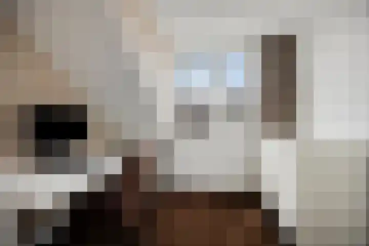 Clematislaan 7 Gouda thumbnail 44
