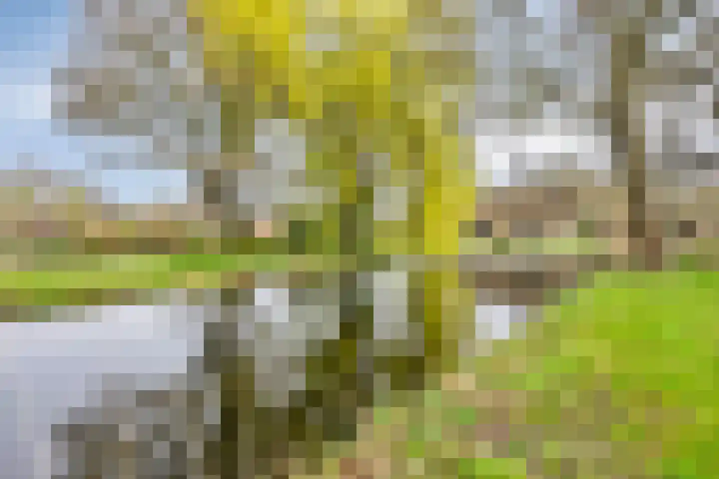 Clematislaan 7 Gouda thumbnail 53