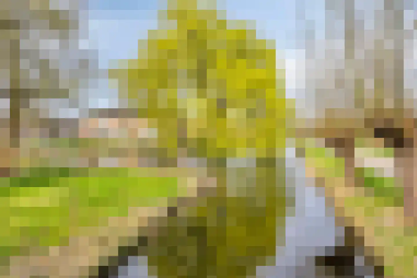 Clematislaan 7 Gouda thumbnail 54
