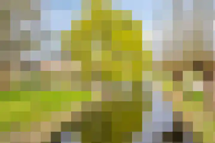 Clematislaan 7 Gouda thumbnail 54