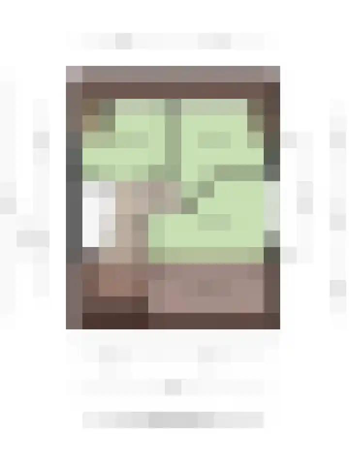 Clematislaan 7 Gouda thumbnail 57